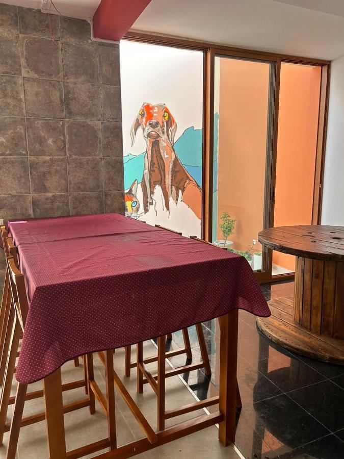 Villa Palmarina Praia Extérieur photo